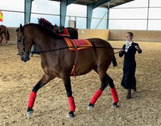 WhatsApp Image 2024-06-15 at 22.48.12 (1).jpeg