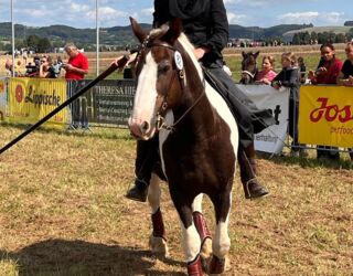 WhatsApp Image 2023-09-02 at 07.04.46 (7).jpg