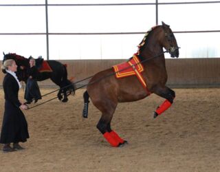 WhatsApp Image 2024-06-16 at 15.55.39.jpeg