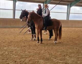 WhatsApp Image 2024-06-15 at 20.11.41 (1).jpeg