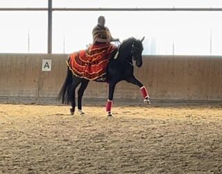 WhatsApp Image 2024-06-15 at 22.46.13.jpeg