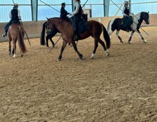 WhatsApp Image 2024-06-15 at 21.53.59 (4).jpeg