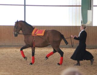 WhatsApp Image 2024-06-16 at 15.55.39 (1).jpeg