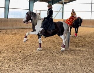 WhatsApp Image 2024-06-15 at 22.47.31 (1).jpeg